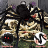 Halloween Spider & Cobweb Decoration