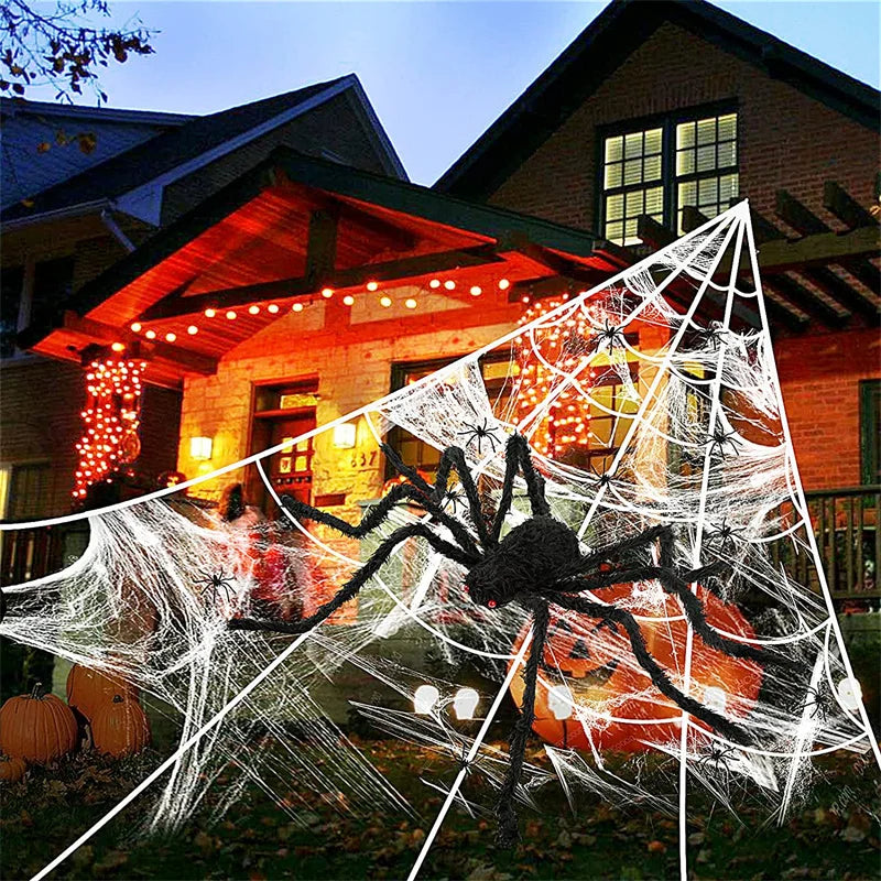 Halloween Spider & Cobweb Decoration