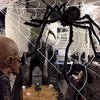 Halloween Spider & Cobweb Decoration