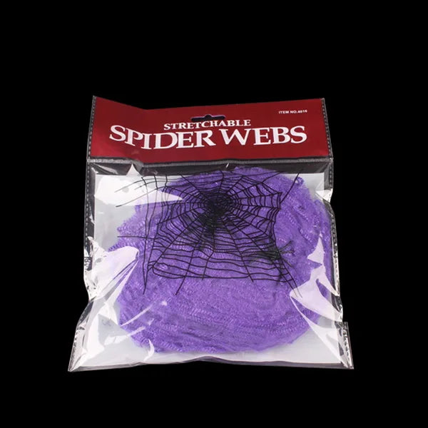 Halloween Spider & Cobweb Decoration