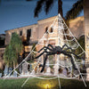 Halloween Spider & Cobweb Decoration